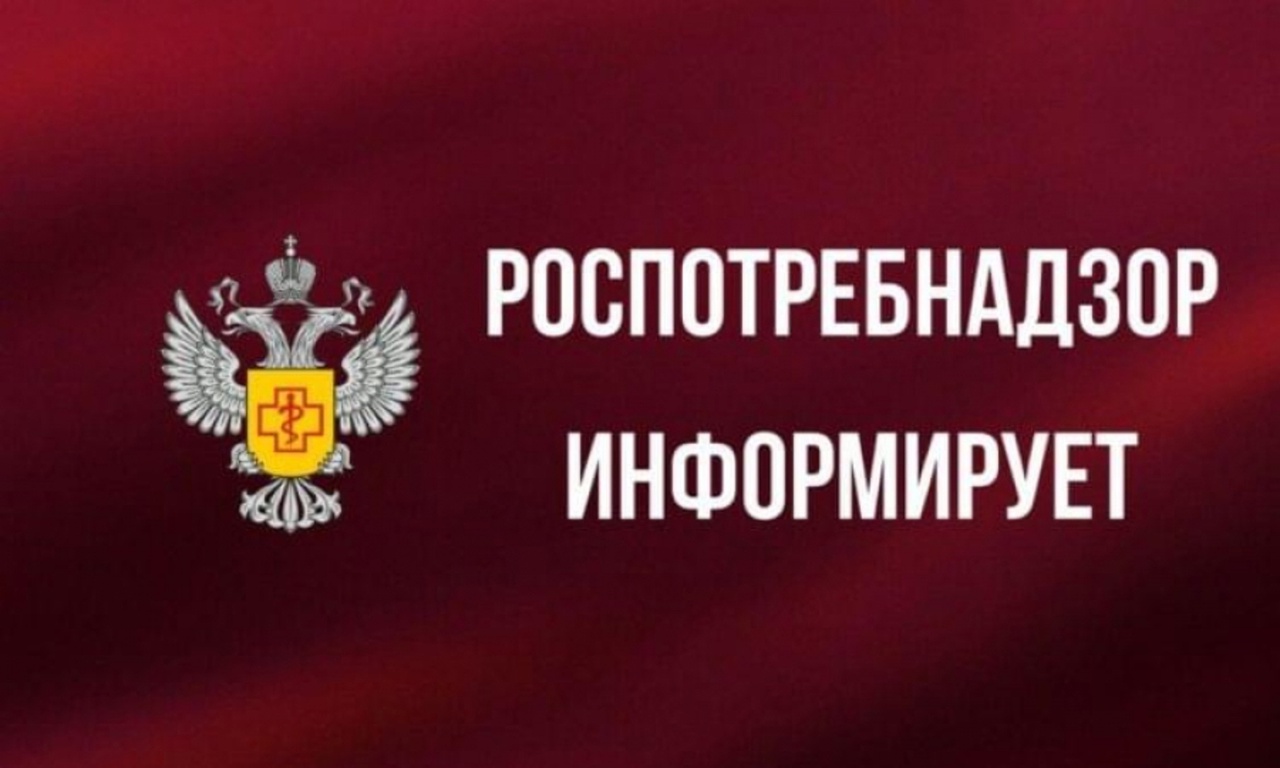 О приеме и учете уведомлений о начале осуществления предпринимательской деятельности.